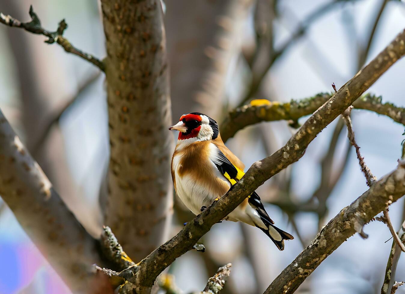 pájaro en un árbol natural diseño foto