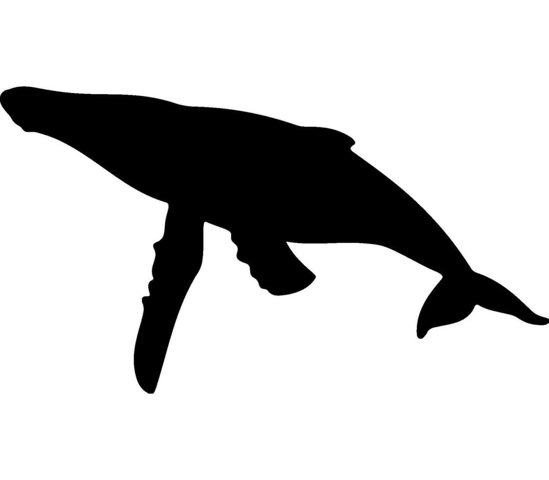 Whale black silhouette vector