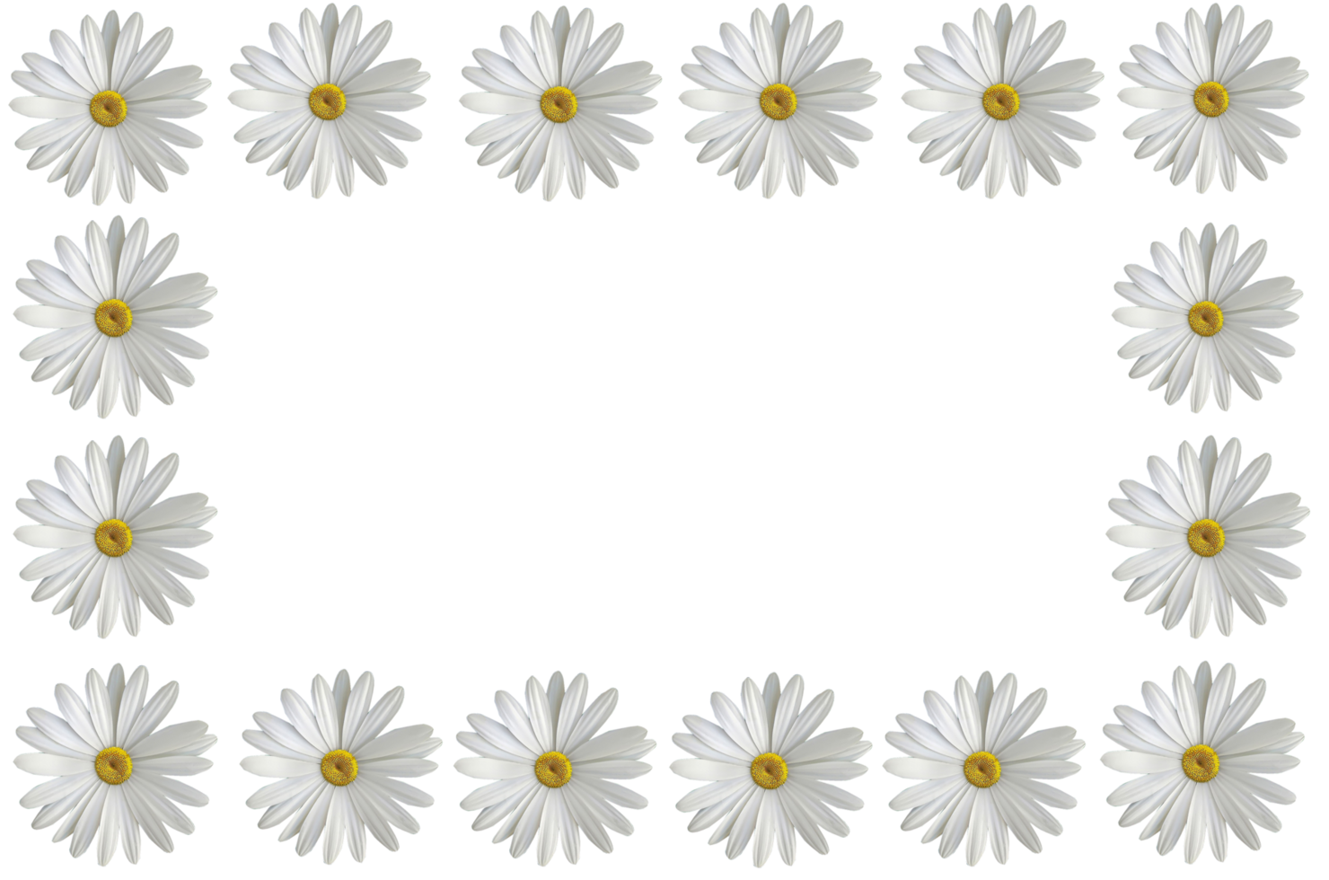 Weiß Blumen Rand png