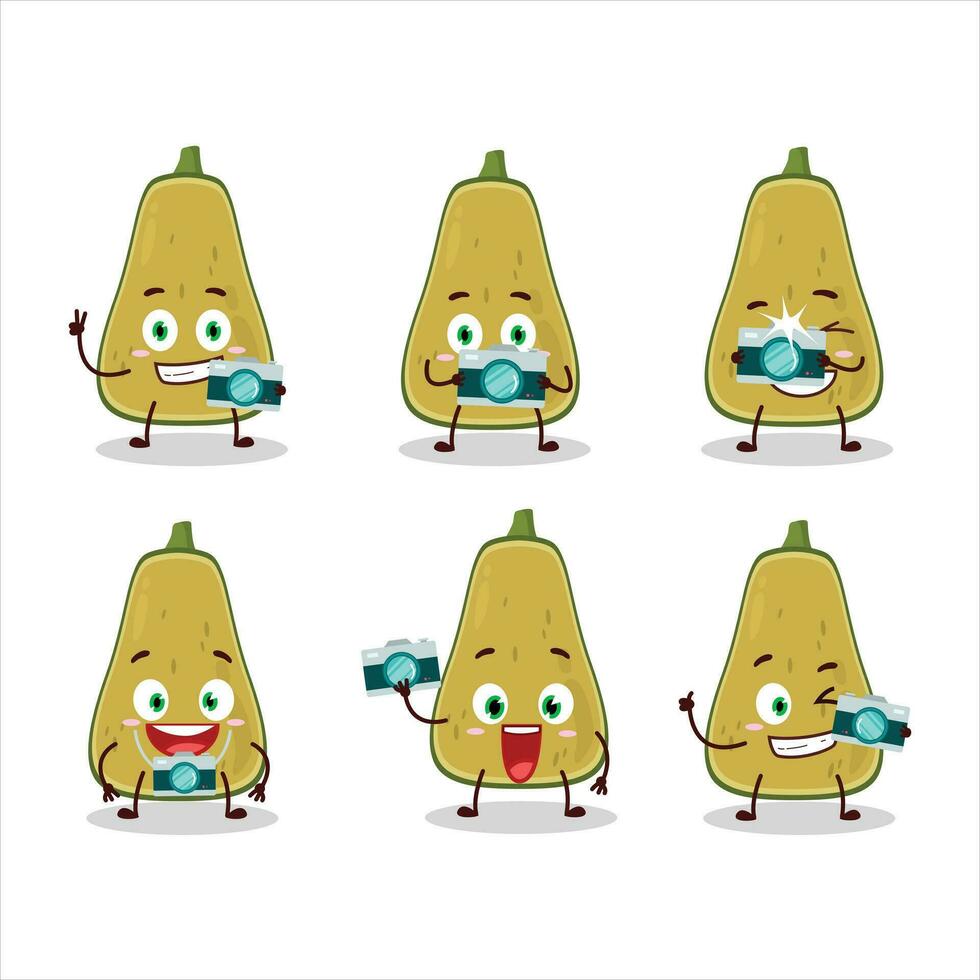Photographer profession emoticon with slice of squash cartoon character vector