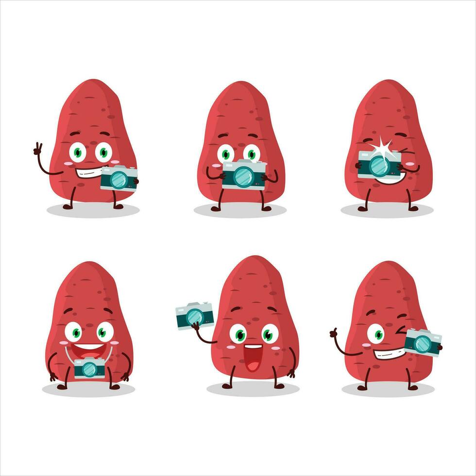 Photographer profession emoticon with sweet potatoe cartoon character vector