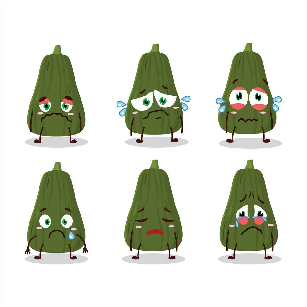 Squash cartoon in character with sad expression vector