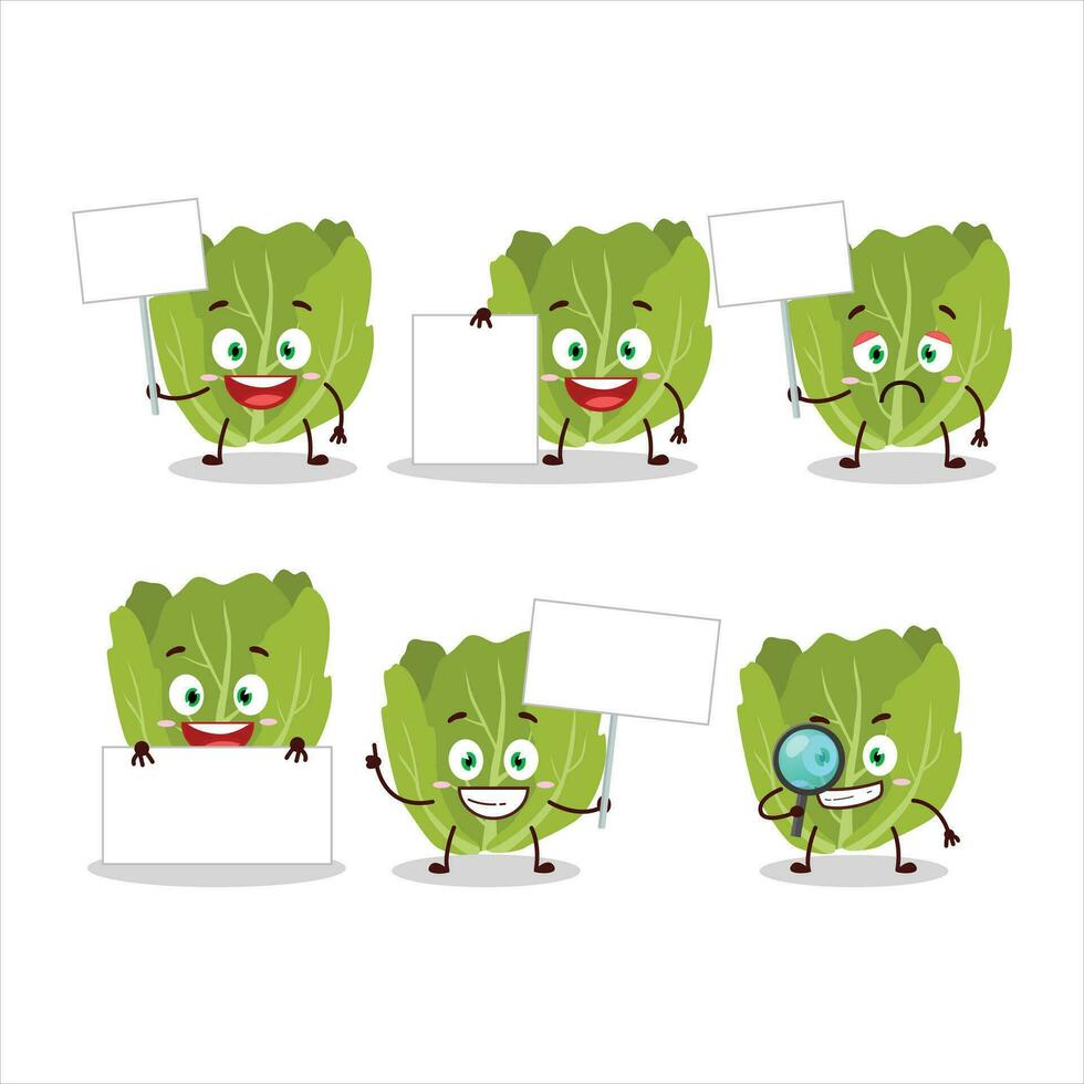 Romain letuce cartoon character bring information board vector