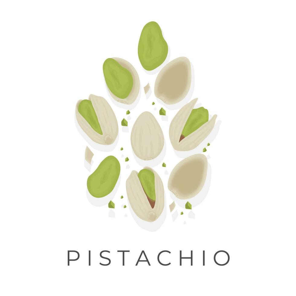 Logo Illustration of Peeled and Whole Pistachio Nuts vector