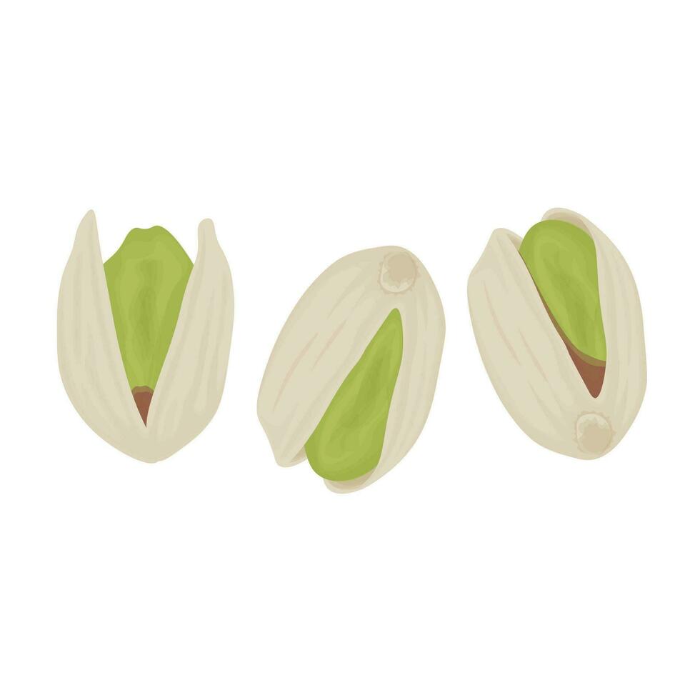 sabroso y delicioso pistacho nueces ilustración logo vector