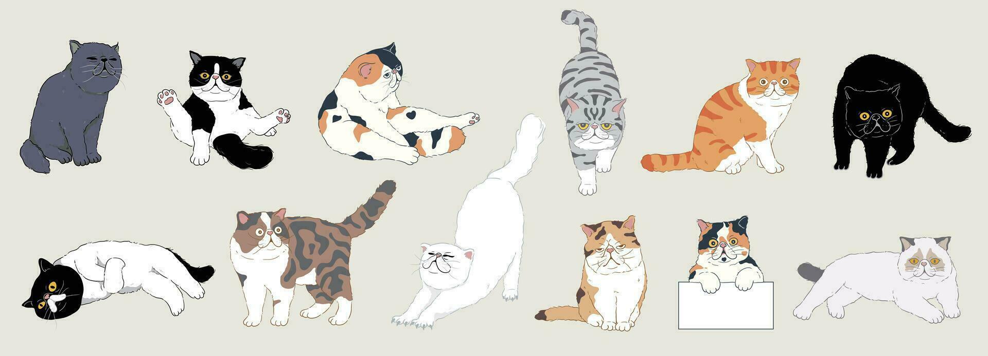 conjunto de linda dibujos animados exótico cabello corto gatos con diferente de colores piel y tipo de abrigo, razas aislado. vector ilustración