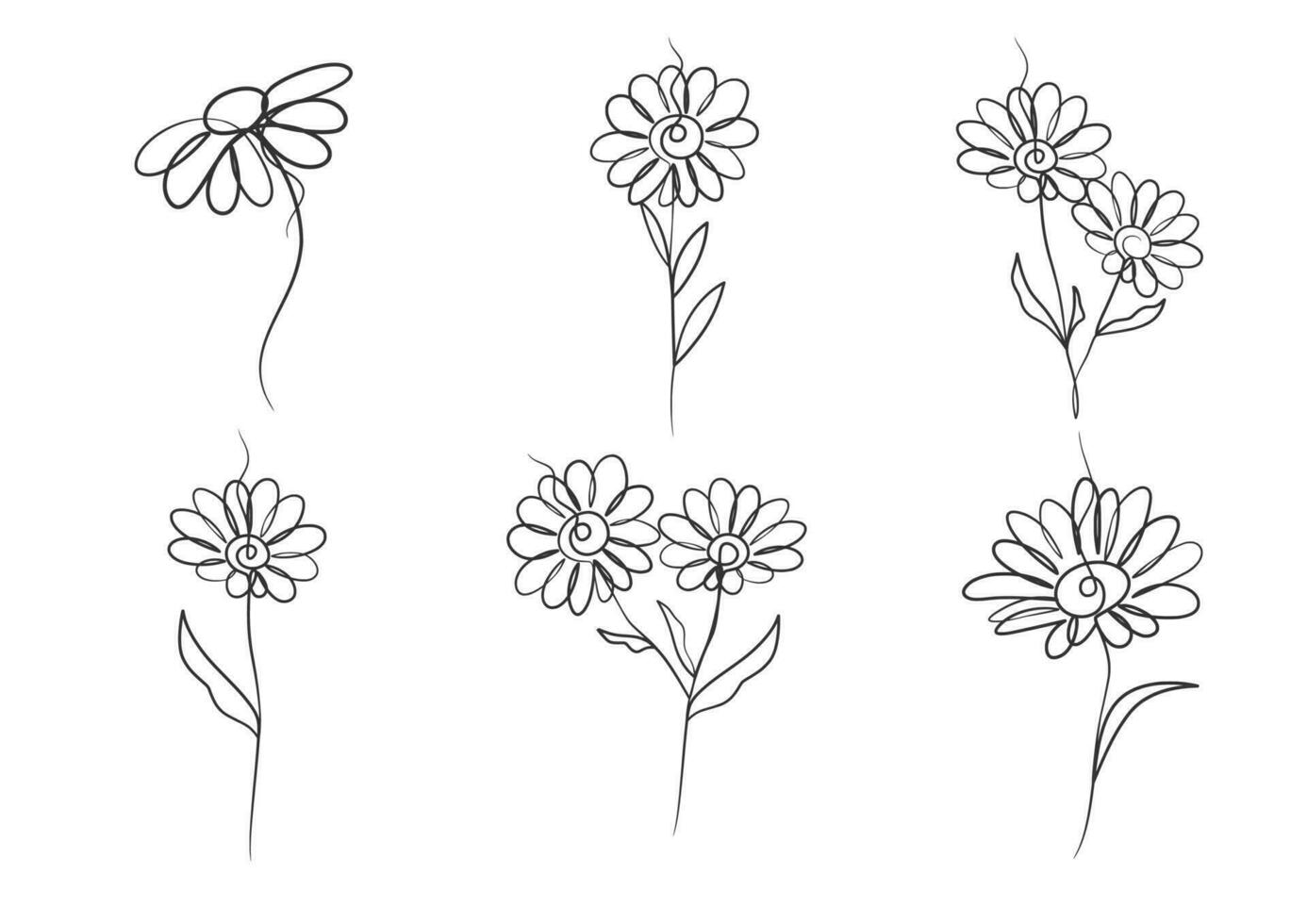 Continuous one line art drawing of beauty daisy flower vector