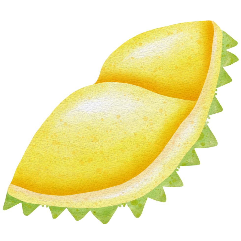 Durian från thailand png