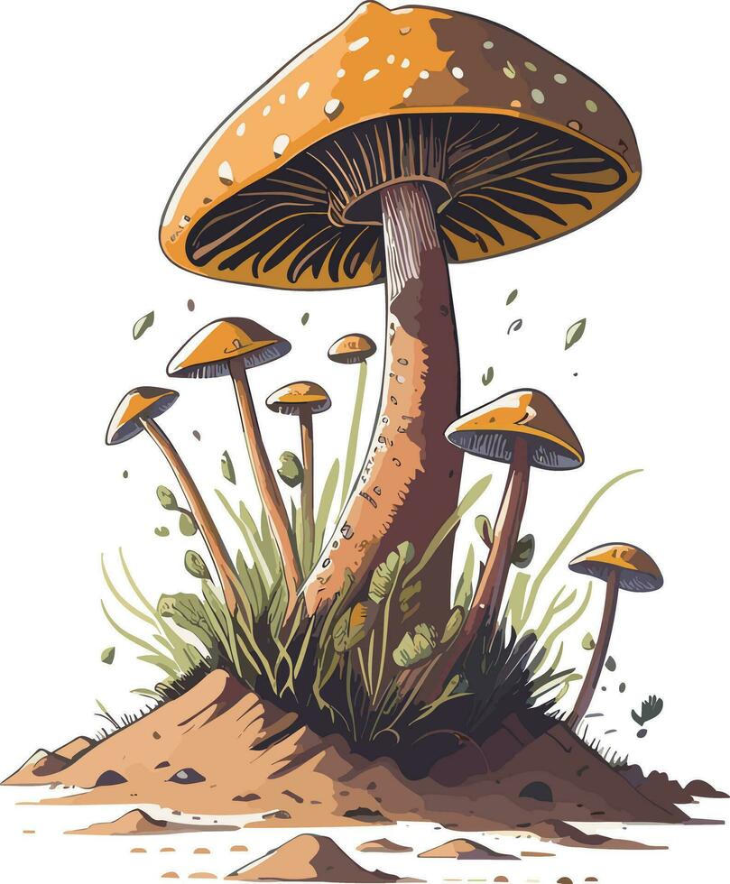 Watercolor cut Mushroom vector