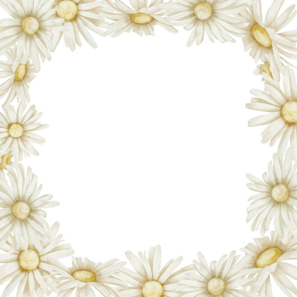 Daisy Frame. Hand drawn watercolor illustration of square Border with Chamomile flowers on isolated background. Botanical Template for greeting cards or wedding invitations. Drawing for icon or logo vector