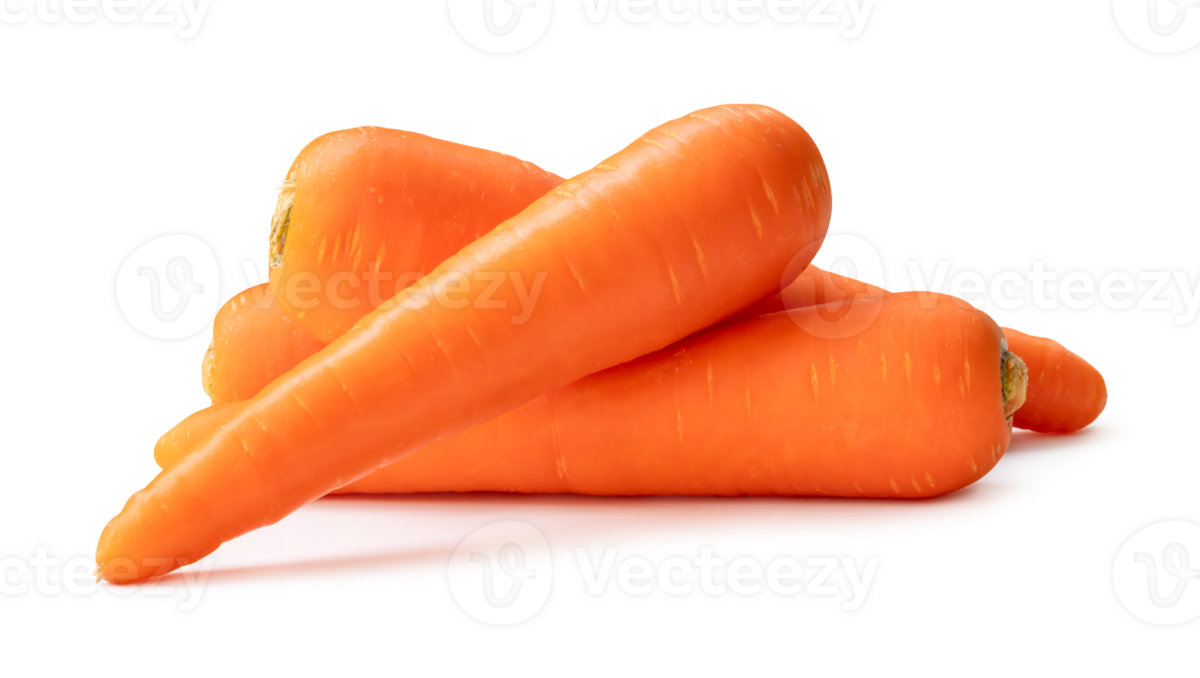 Fresh beautiful orange carrots in stack isolated with clipping path and shadow in png file format Close up of healthy vegetable root