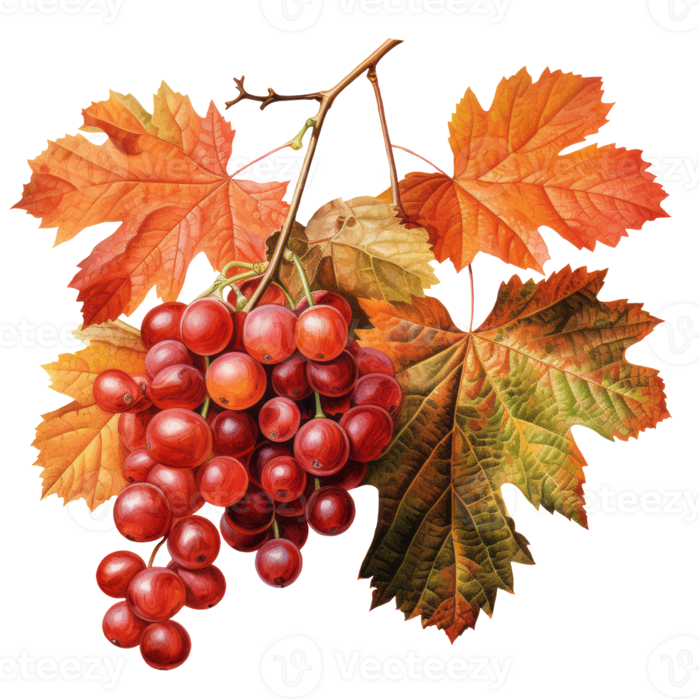 Watercolor colorful autumn branch with red berries AI Generative PNG Pro