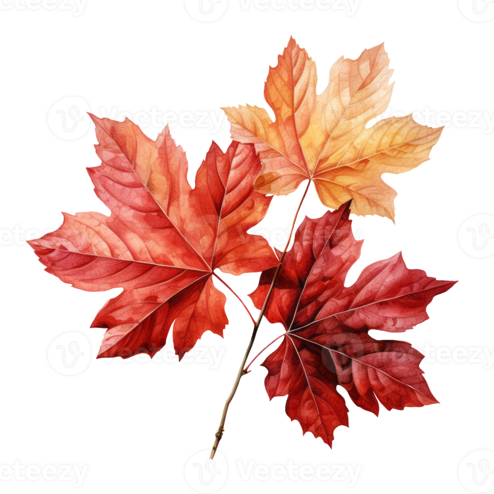 Watercolor colorful autumn branch with AI Generative PNG Pro