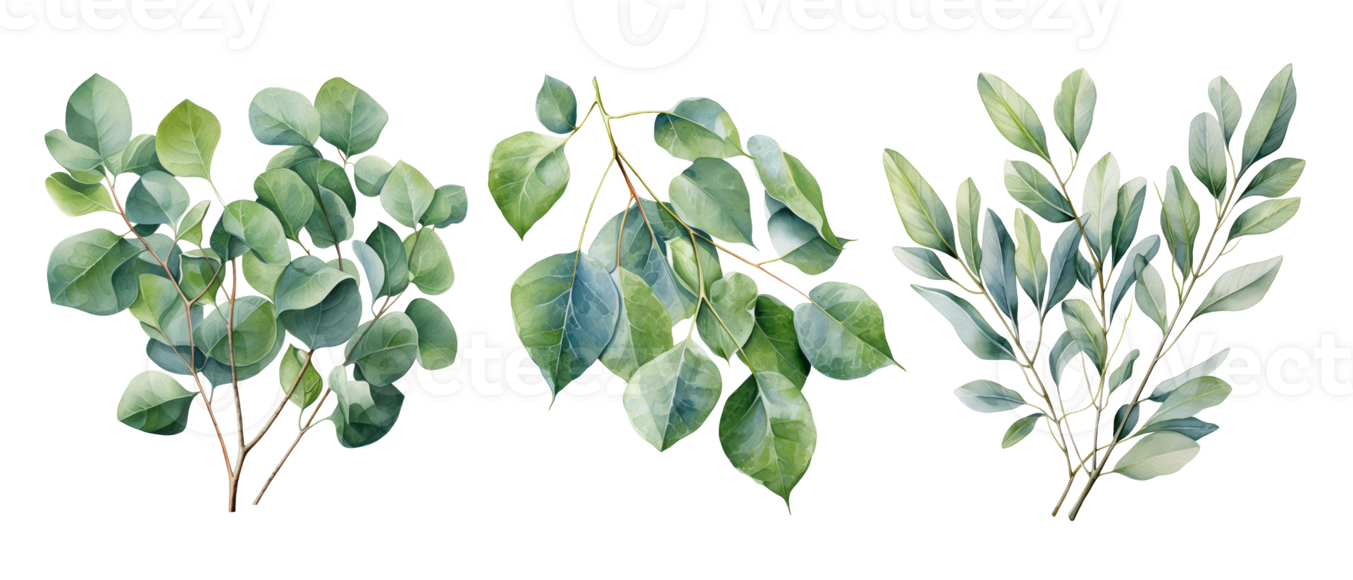 Watercolor eucalyptus branch set. Floristic design elements. AI Generative PNG Pro