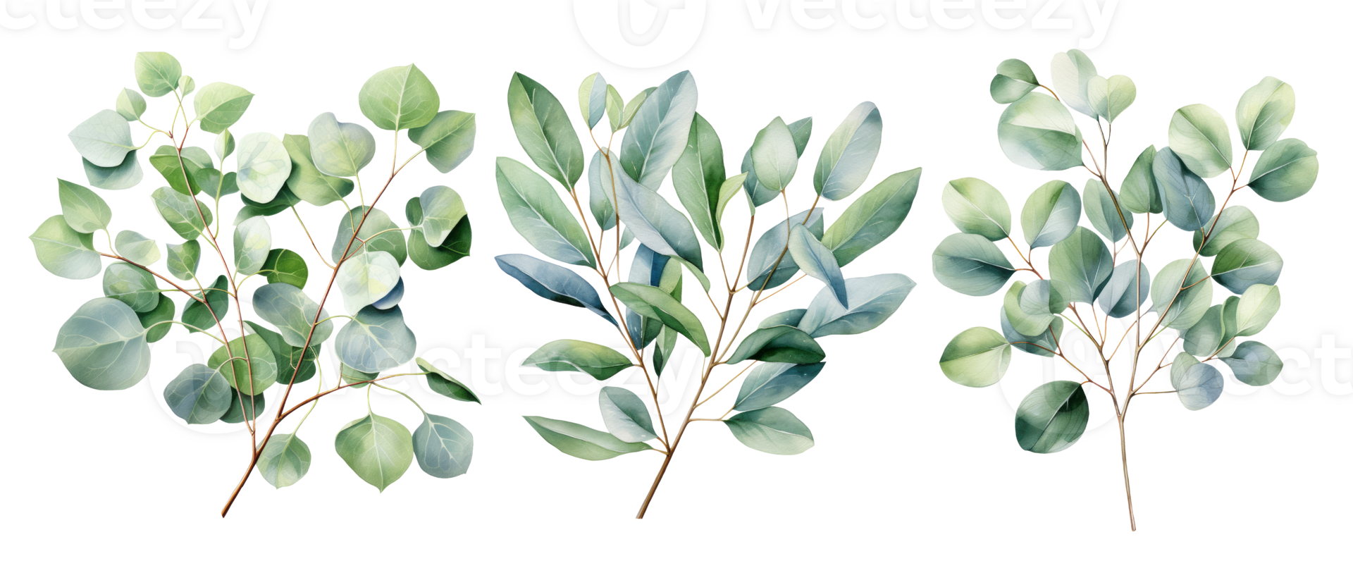 Watercolor eucalyptus branch set. Floristic design elements. AI Generative PNG Pro