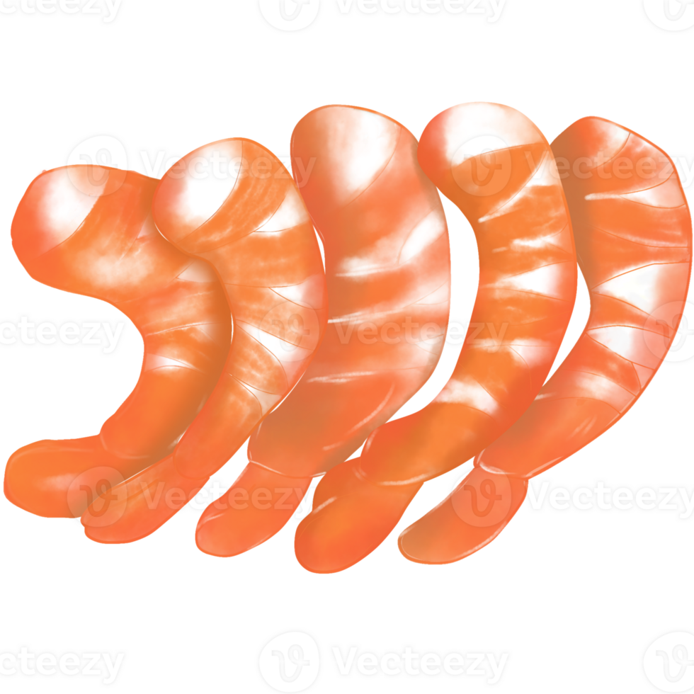 illustration of five shrimps png