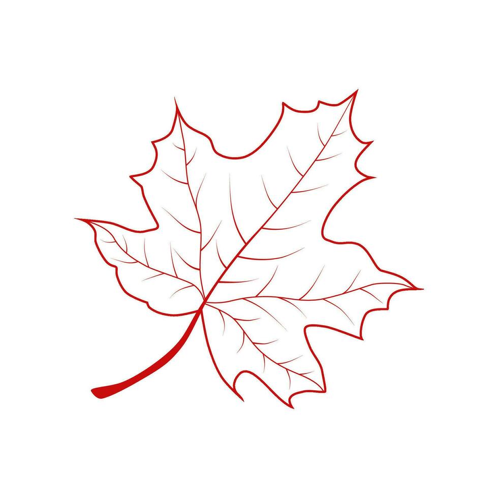 Hand drawn maple leaf outline. Maple leaf in red line art isolated on white background. vector