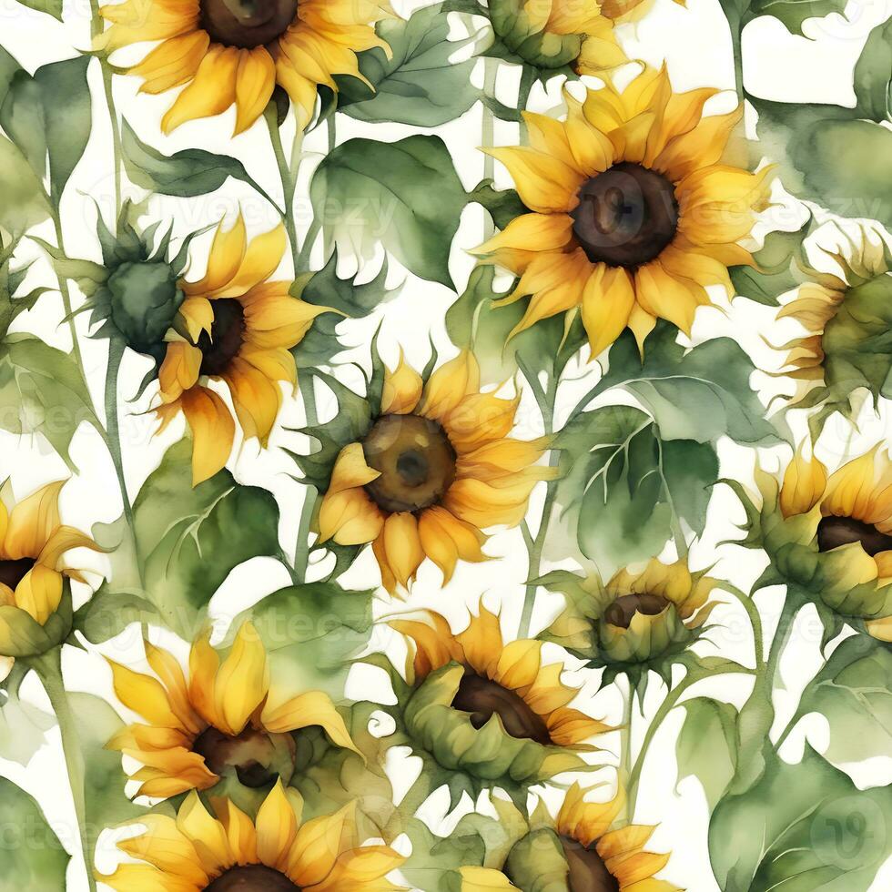 Bright sunflowers painted watercolors photo