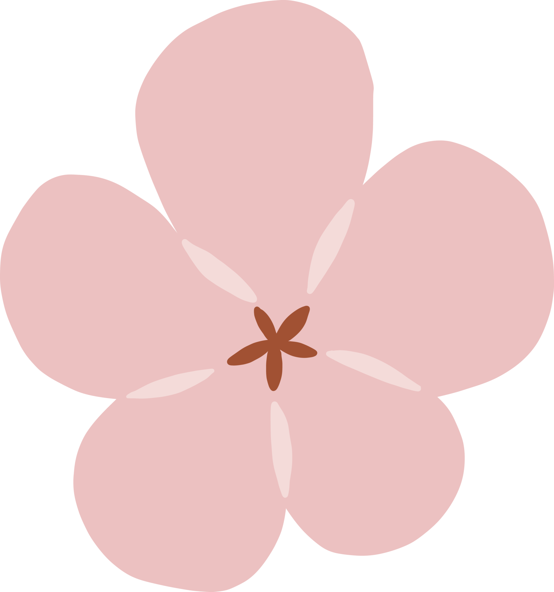Wild Colorful Light Pink Flower Blooming 28347028 PNG