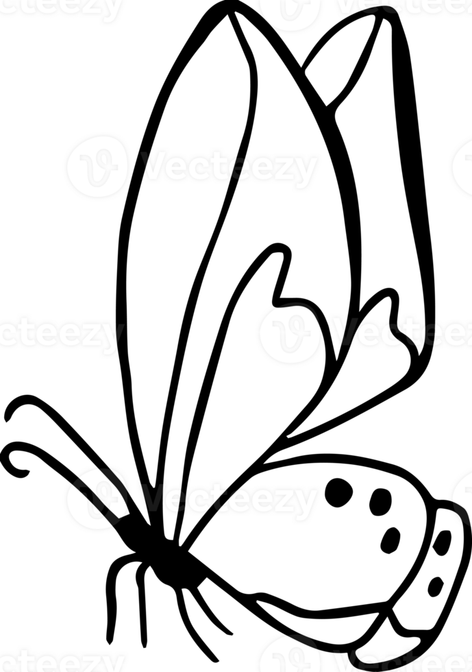 djungel fjäril djur- linje konst ikoner natur skog png