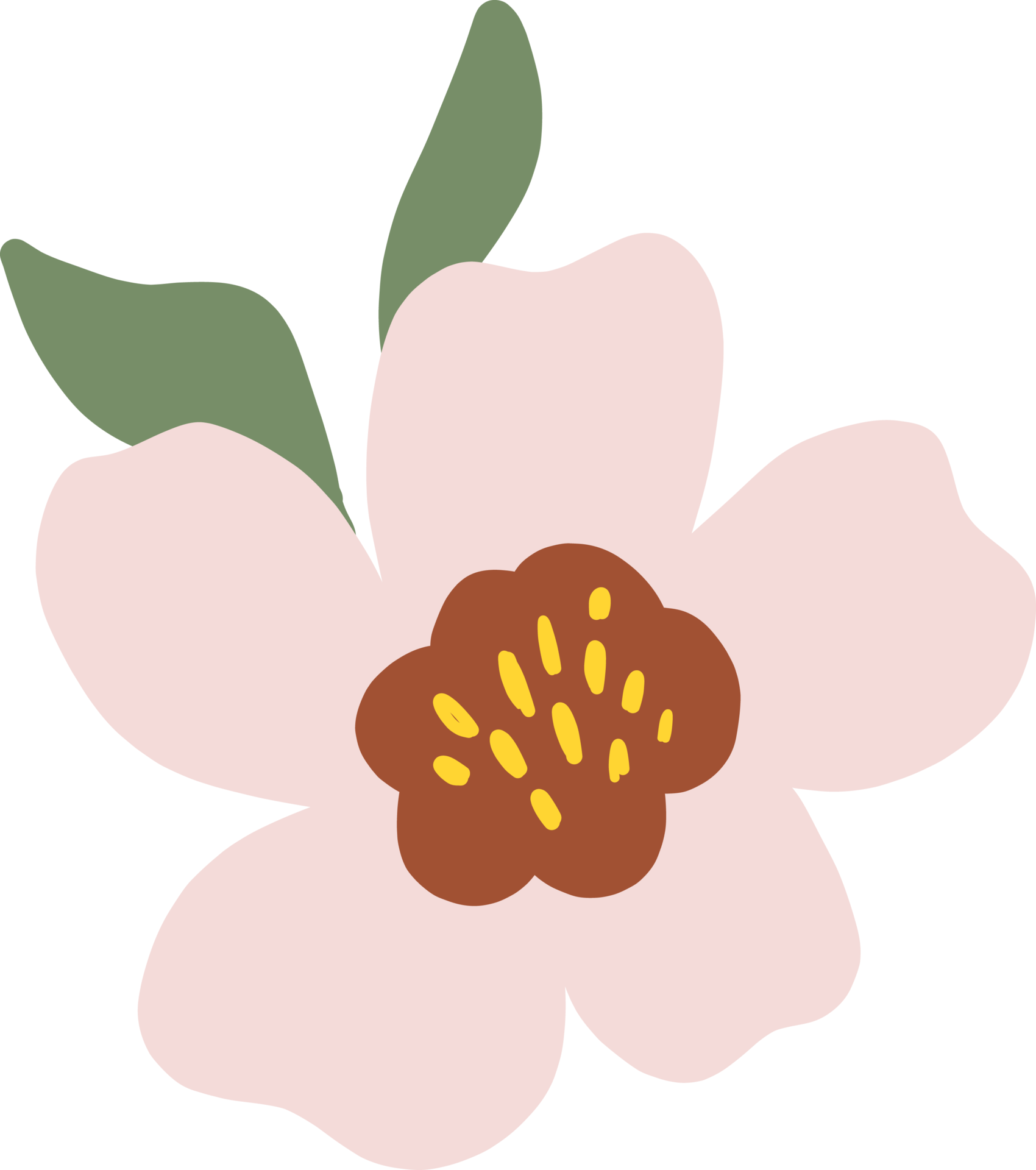 Wild Colorful Flower Green Leaves Blooming 28347702 PNG