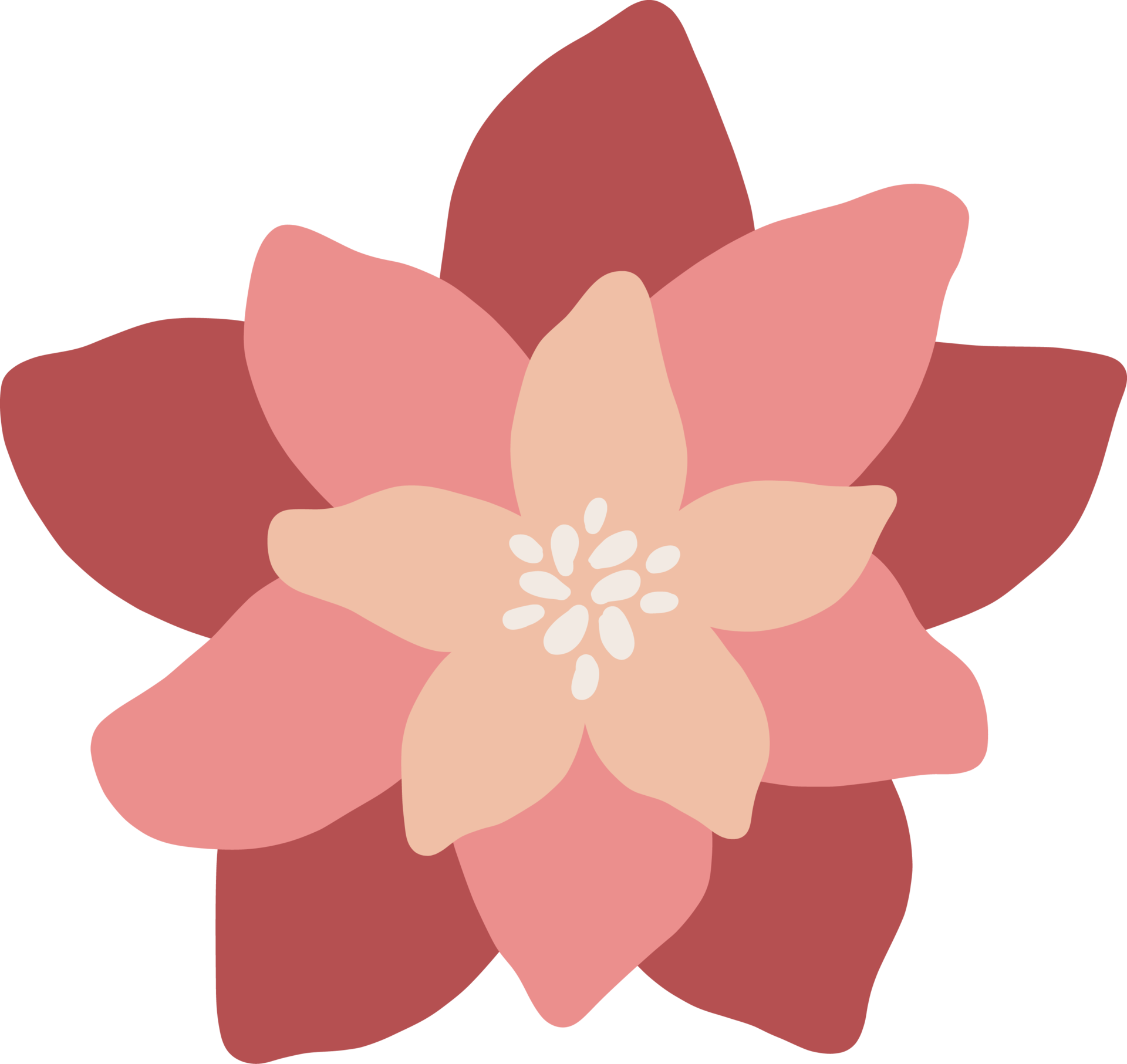 Wild Colorful Light Pink Flower Blooming 28347839 PNG