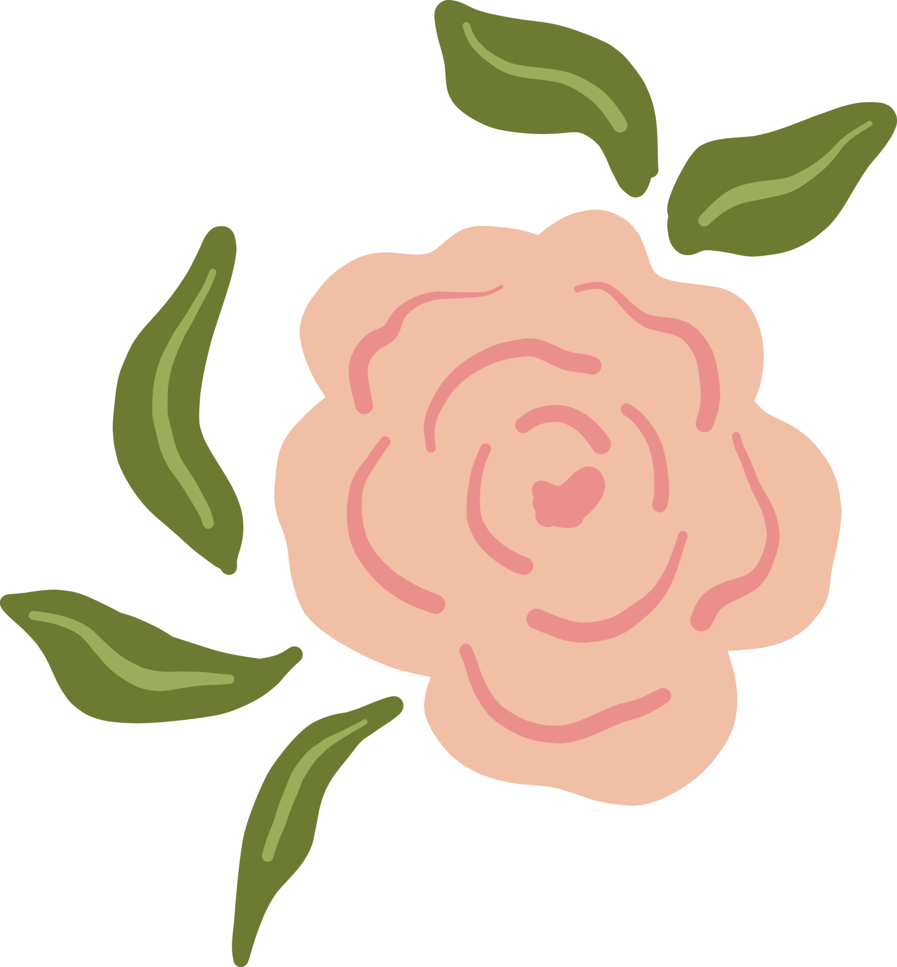 Wild Colorful Flower Green Leaves Blooming 28347916 PNG
