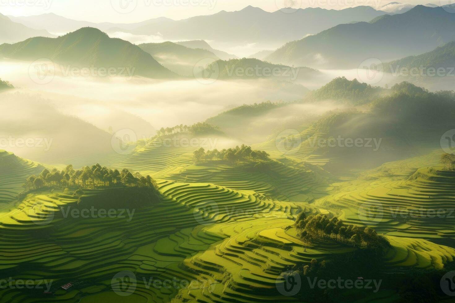 Aerial view of Golden and green terraced rice fields, beautiful China. Two Chinese farmers. Morning fog. Sunrise. High mountains. High - quality camera shot. photo