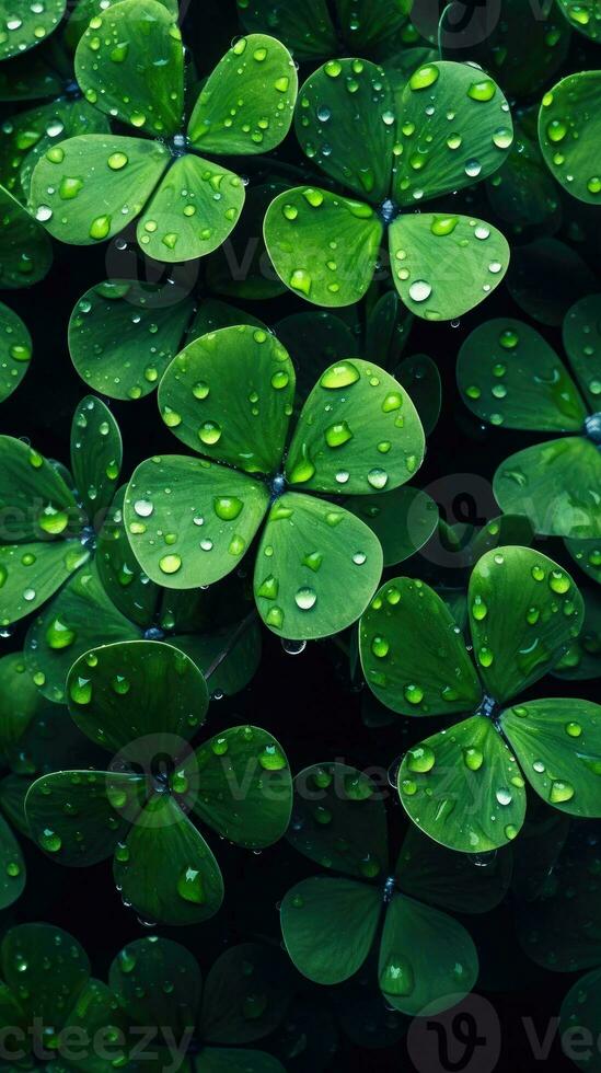 A Bunch of clover leaf background, Generative AI photo