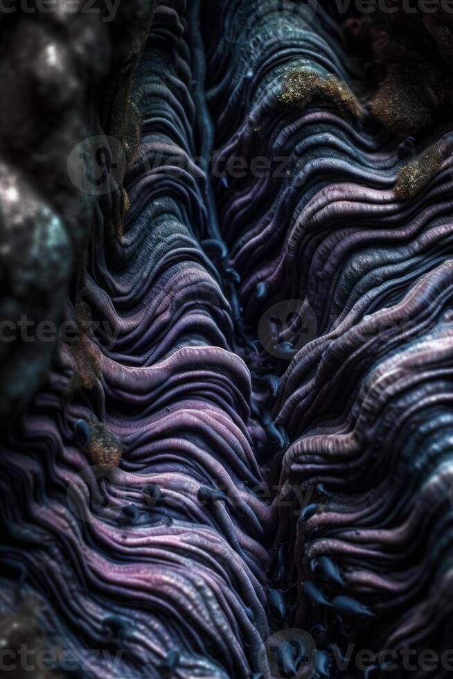 Closeup of an Alien Like Texture photo