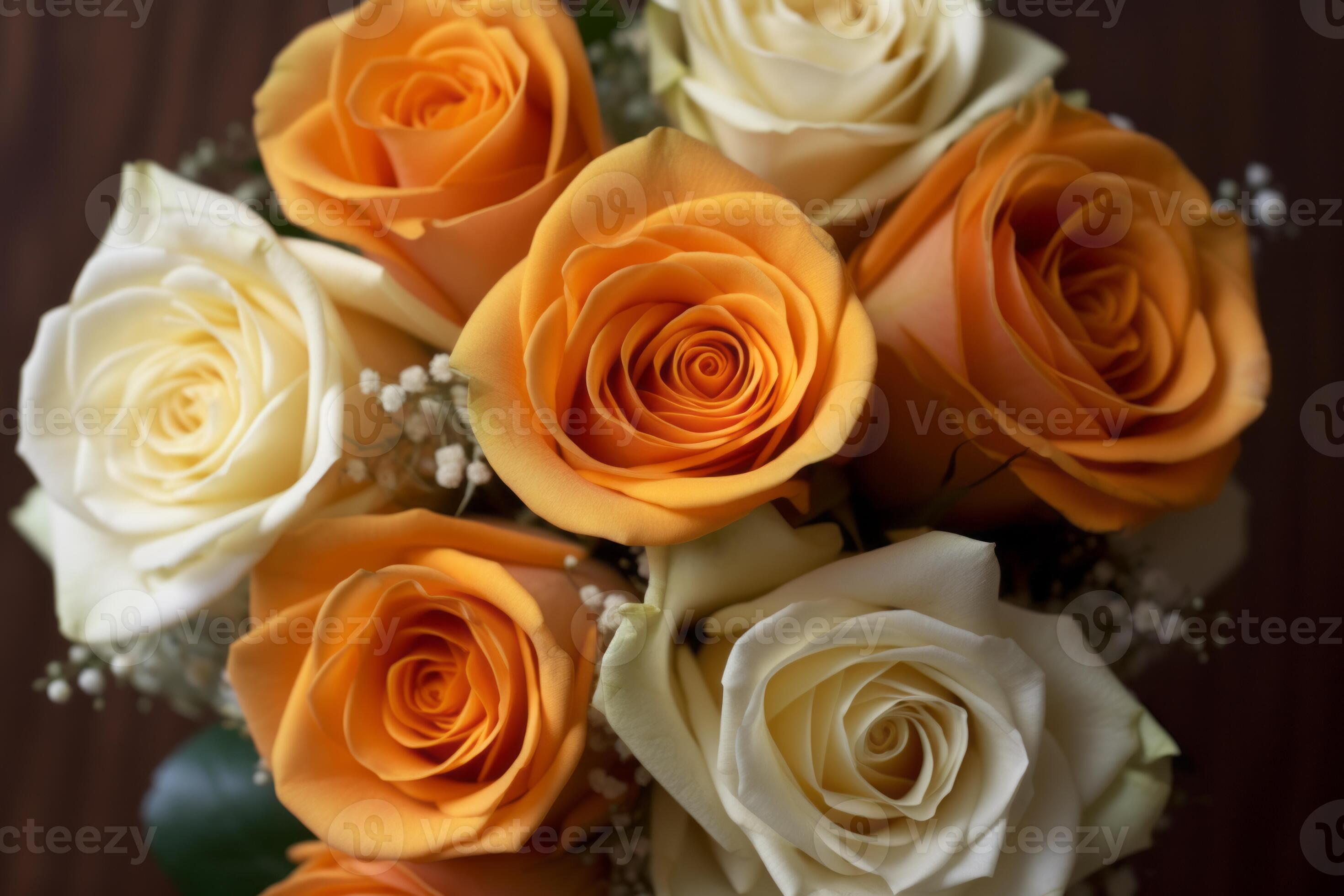 Orange and White Roses Texture Background Generative AI 28352337 Stock