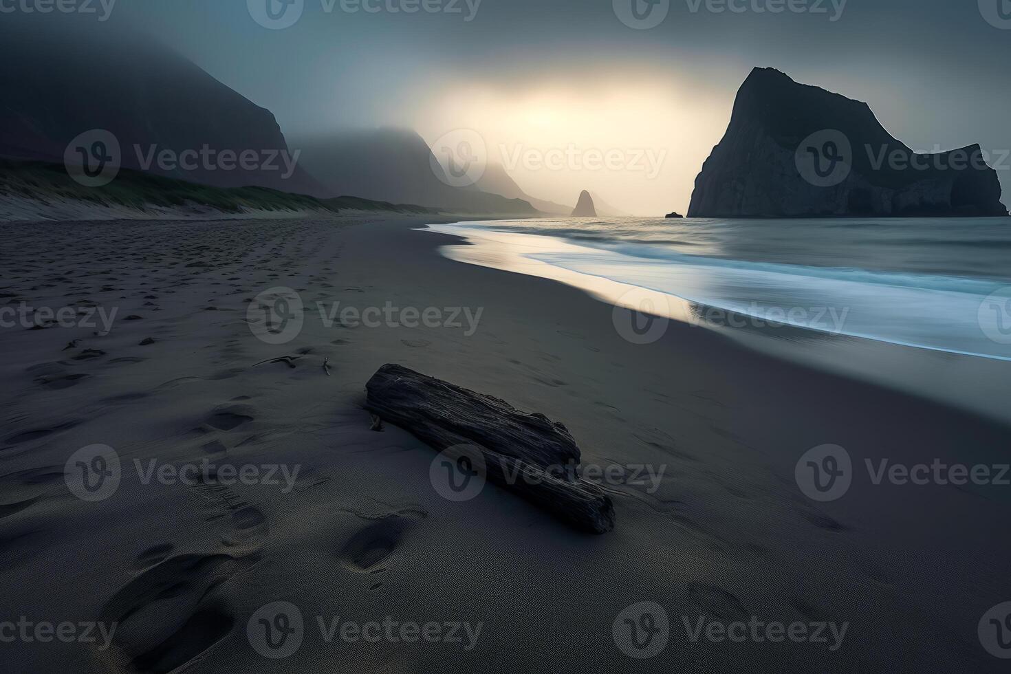 Washed Up Debris on a Scenic Beachscape photo