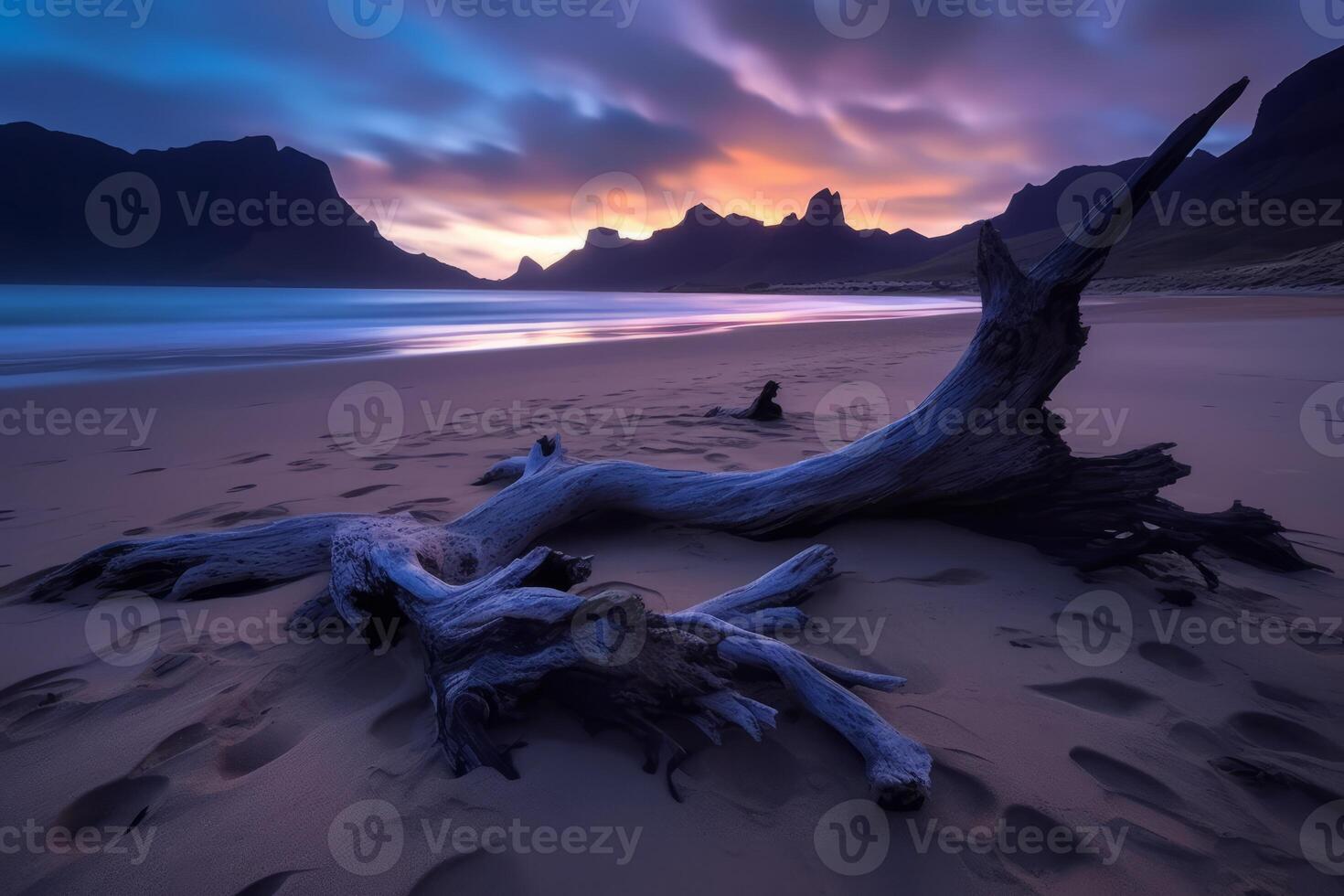 Washed Up Debris on a Scenic Beachscape photo