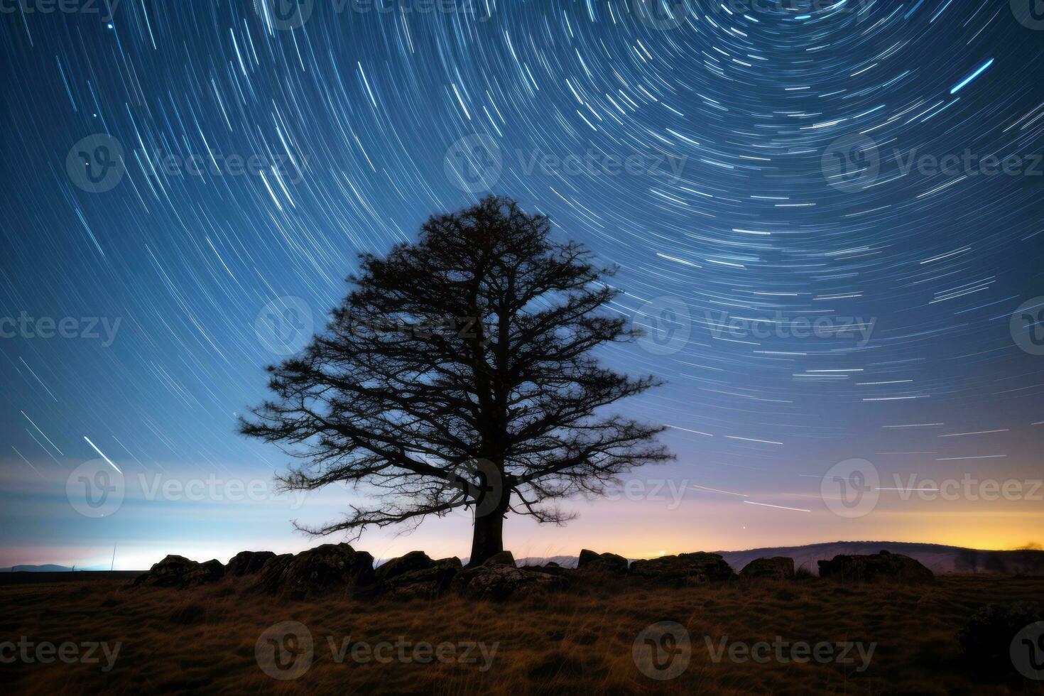 a lone tree in the middle of a field under a star trail generative AI photo