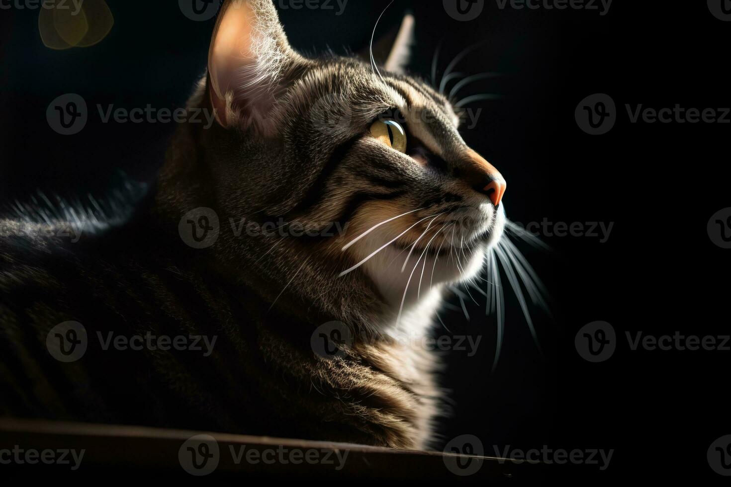 a tabby cat is sitting on a table in the dark generative AI photo