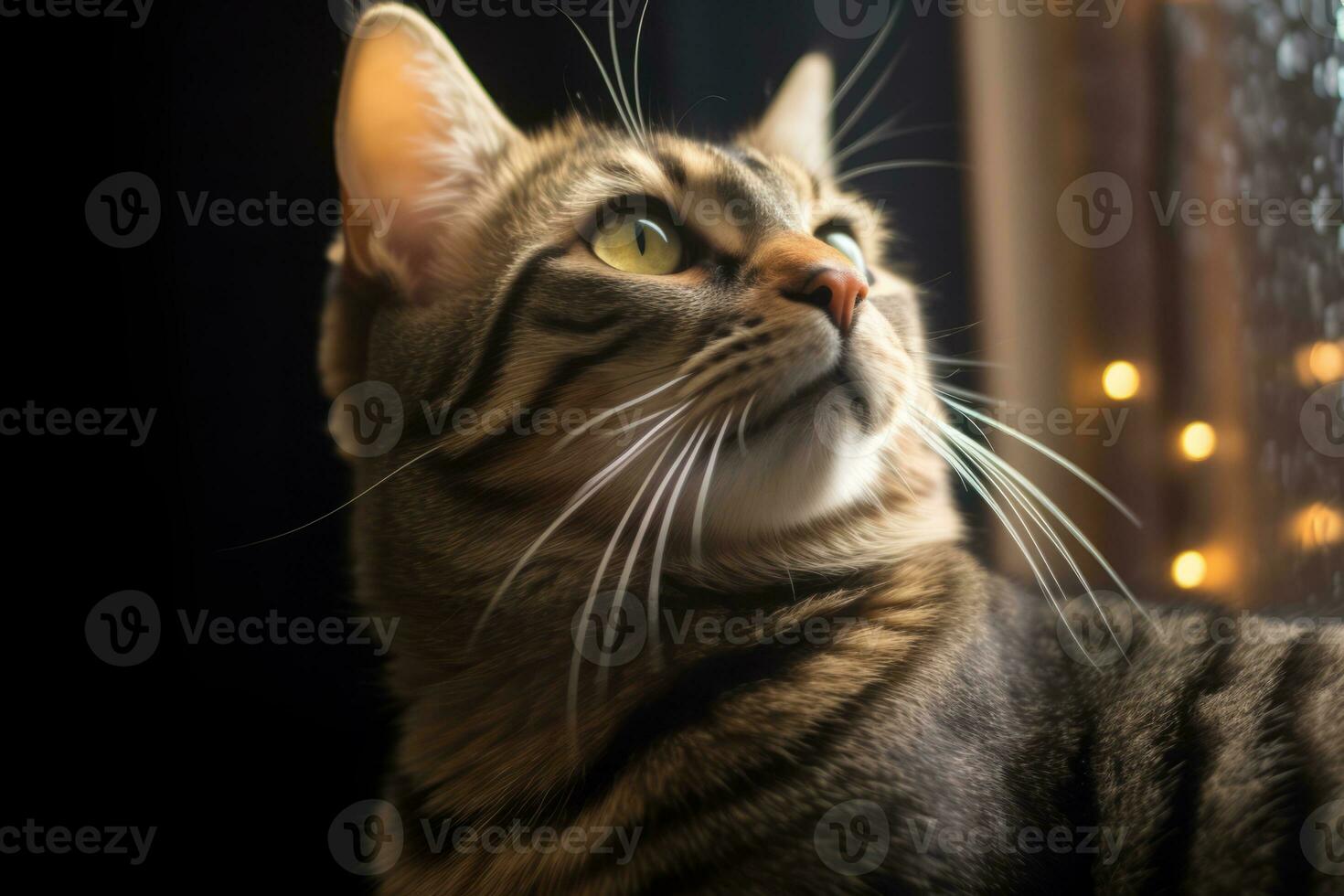 a tabby cat looking out the window generative AI photo