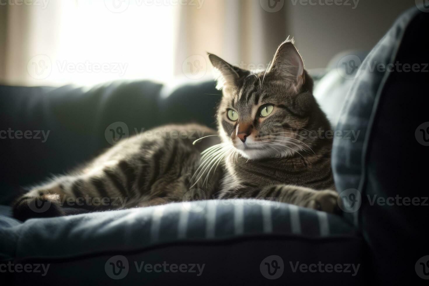 a tabby cat sitting on a couch in front of a window generative AI photo