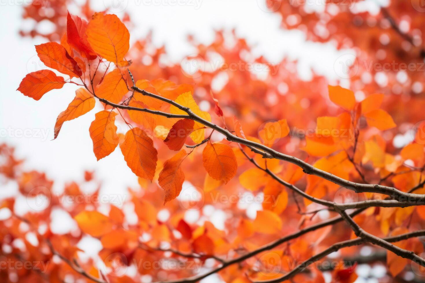 a close up of a tree branch with red leaves generative ai photo