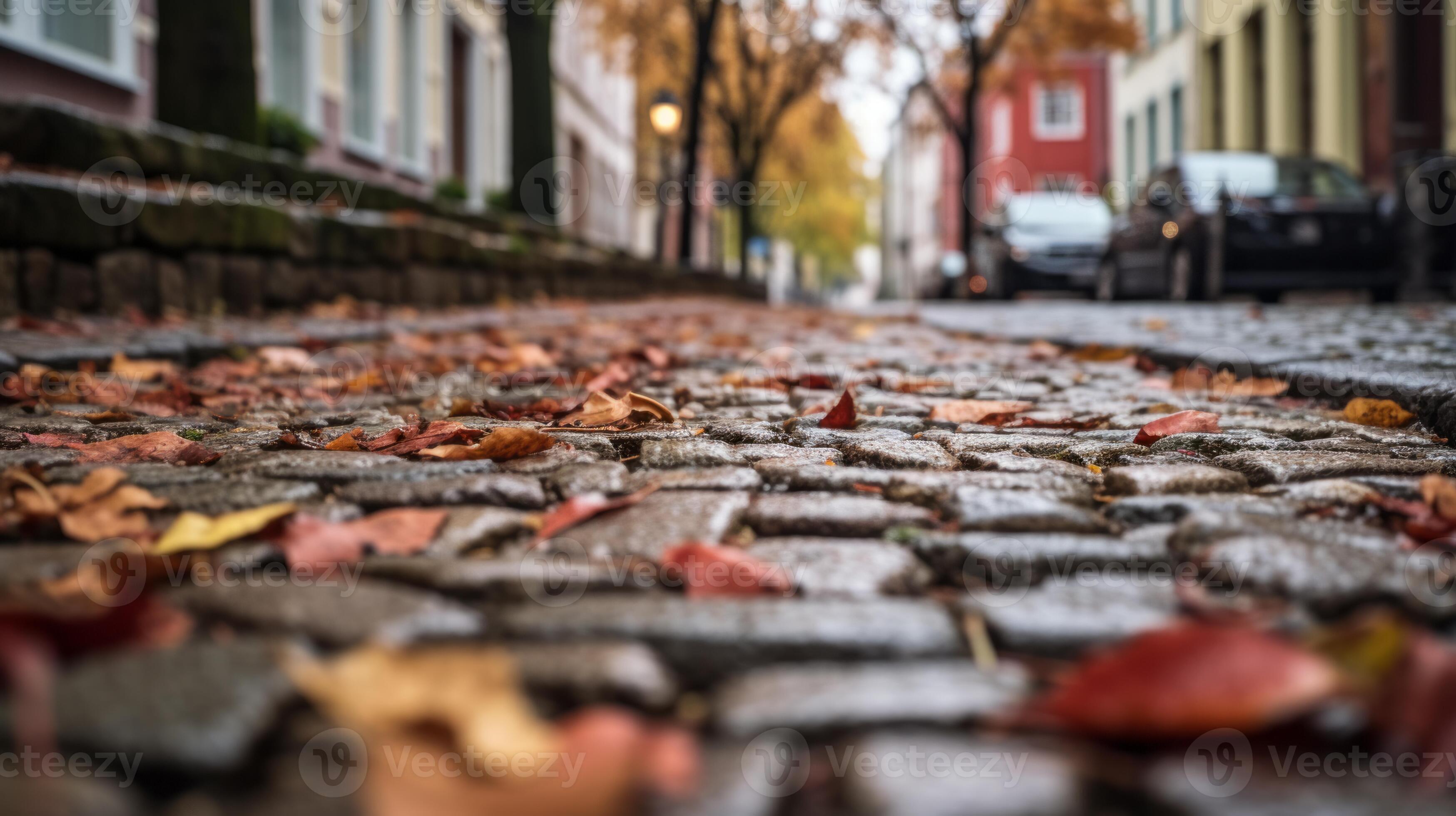 a cobblestone street with leaves on the ground generative ai 28374042