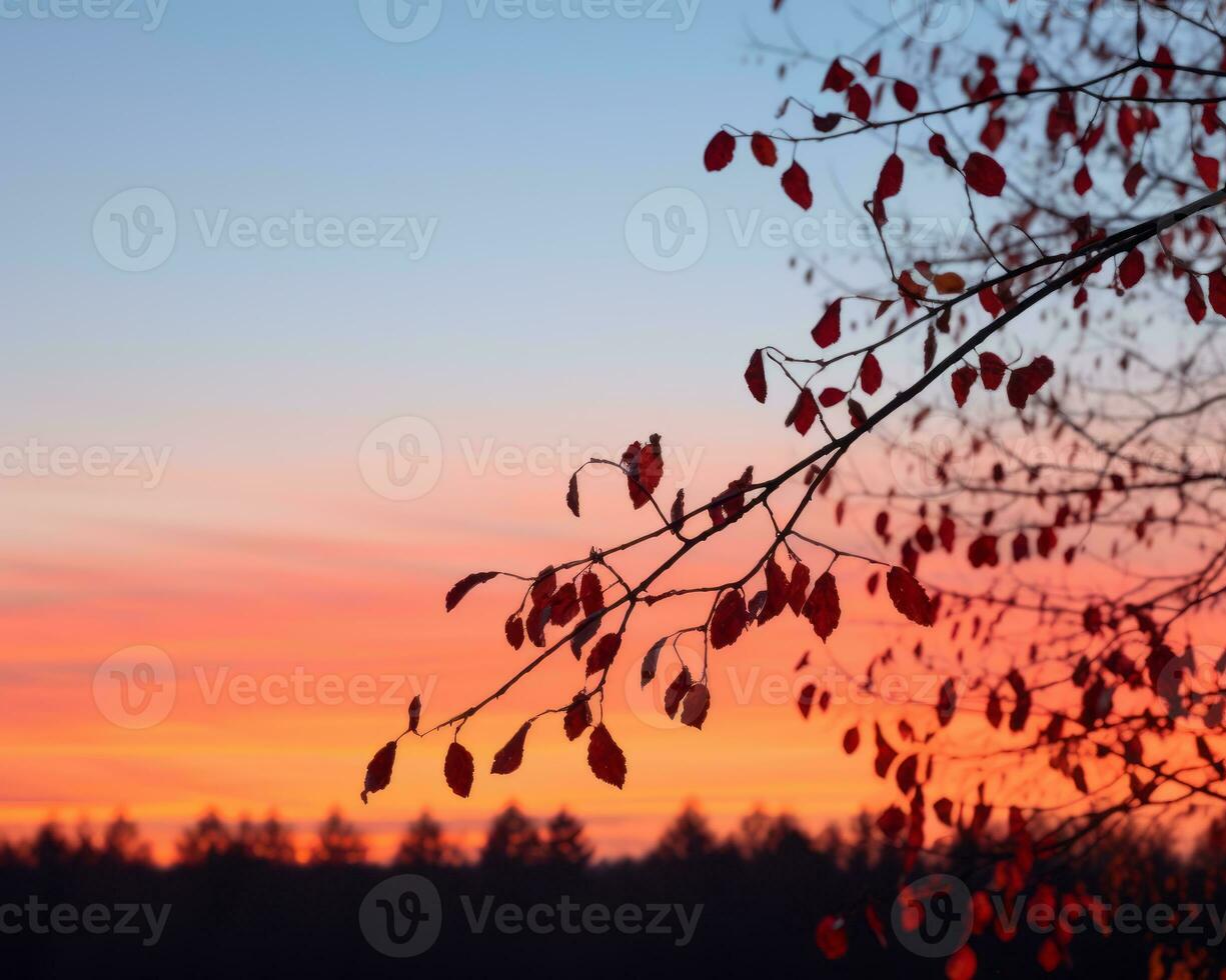 a tree branch with red leaves in front of a sunset generative ai photo