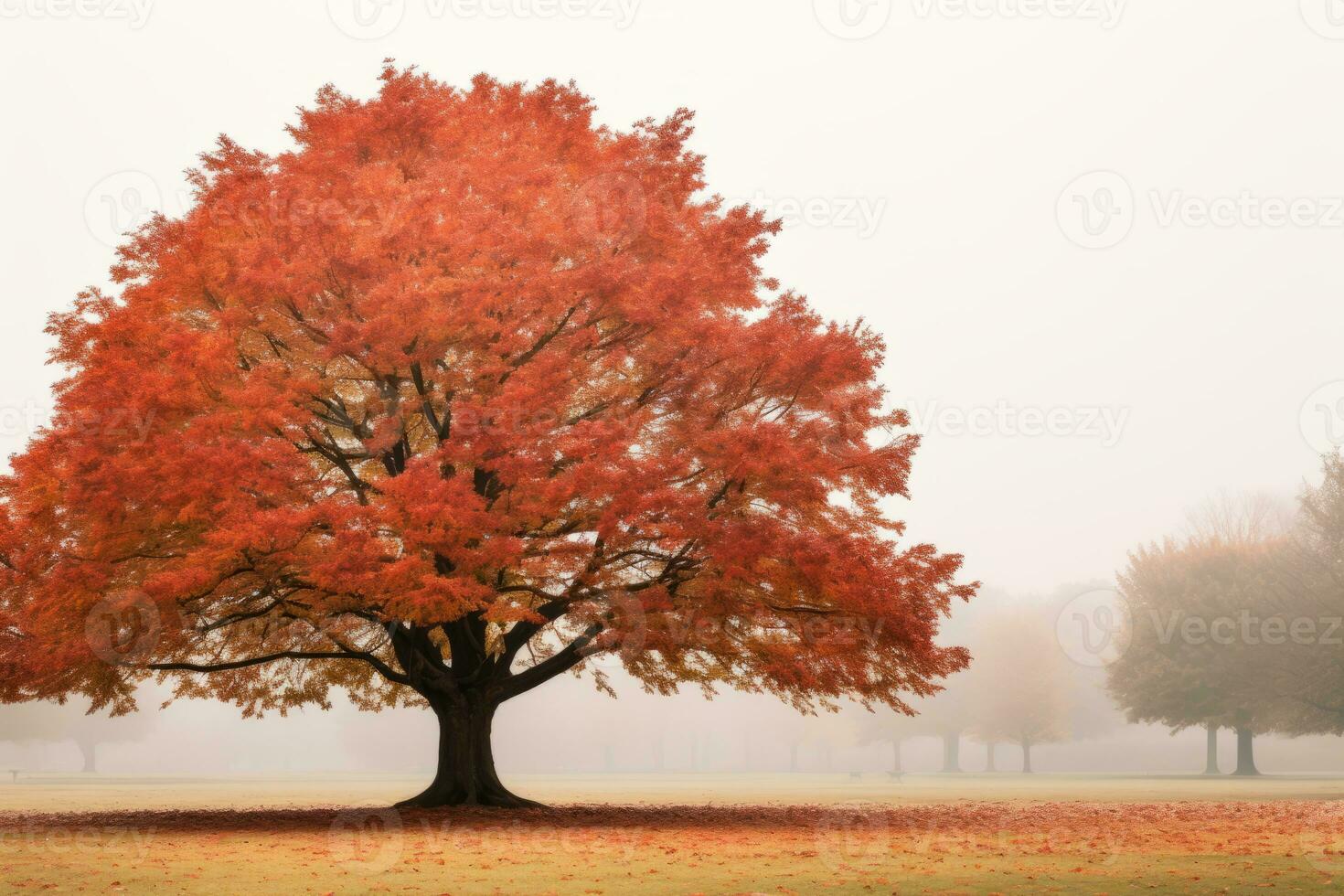 a tree in the middle of a foggy field generative ai photo