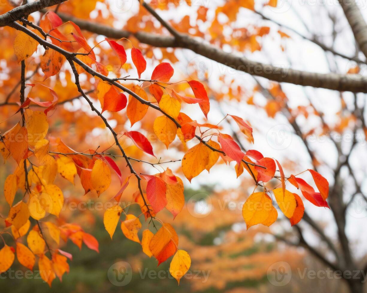 autumn leaves on a tree branch in a park generative ai photo