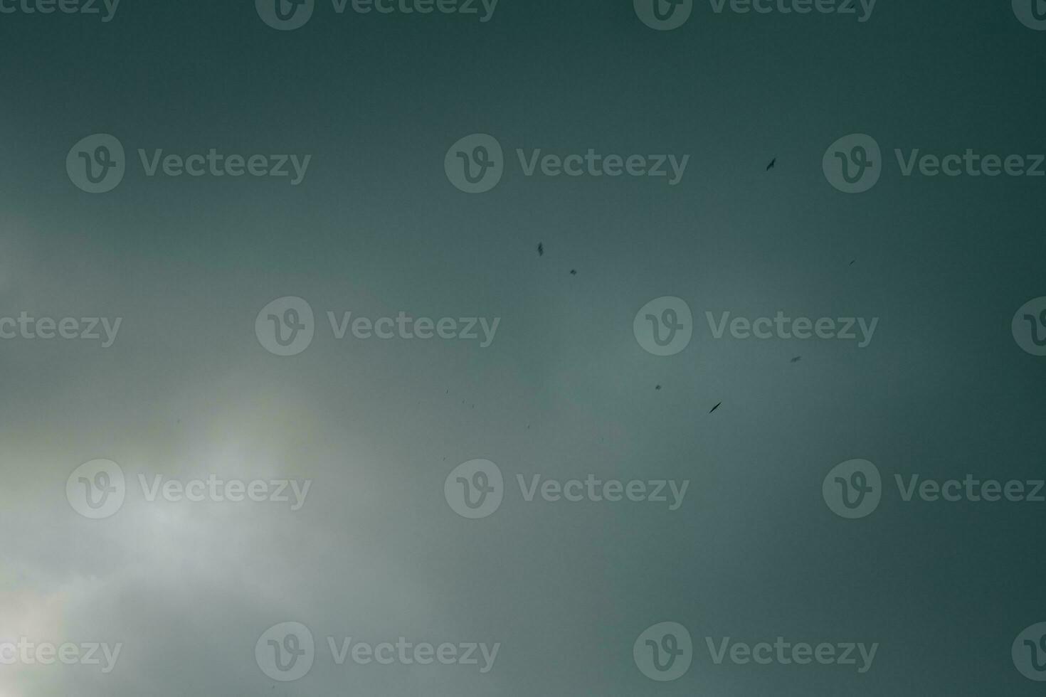 cloudy, threatening sky with birds. Minimalism and aesthetics for the background photo