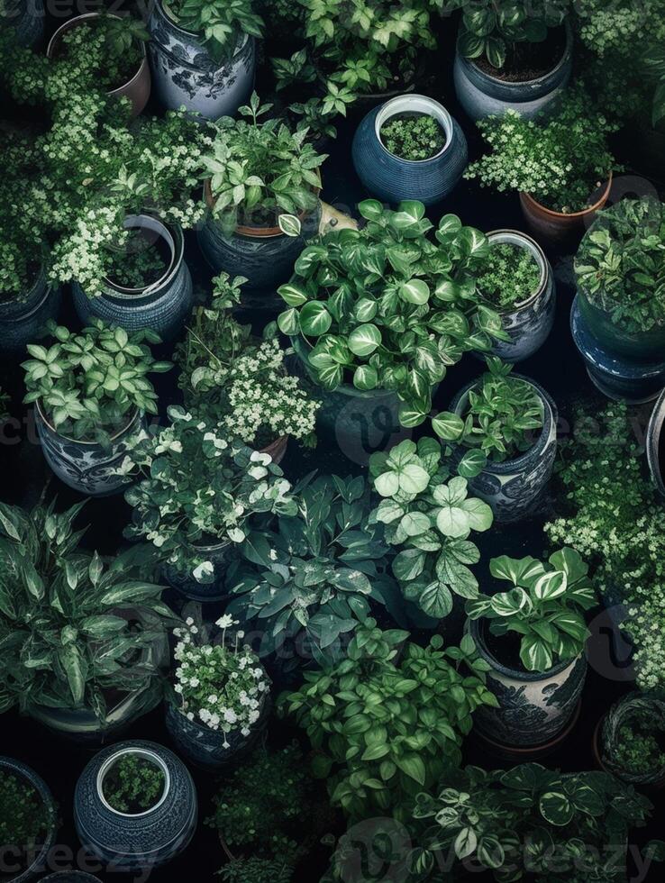 there are many different types of plants in the same pot. generative ai