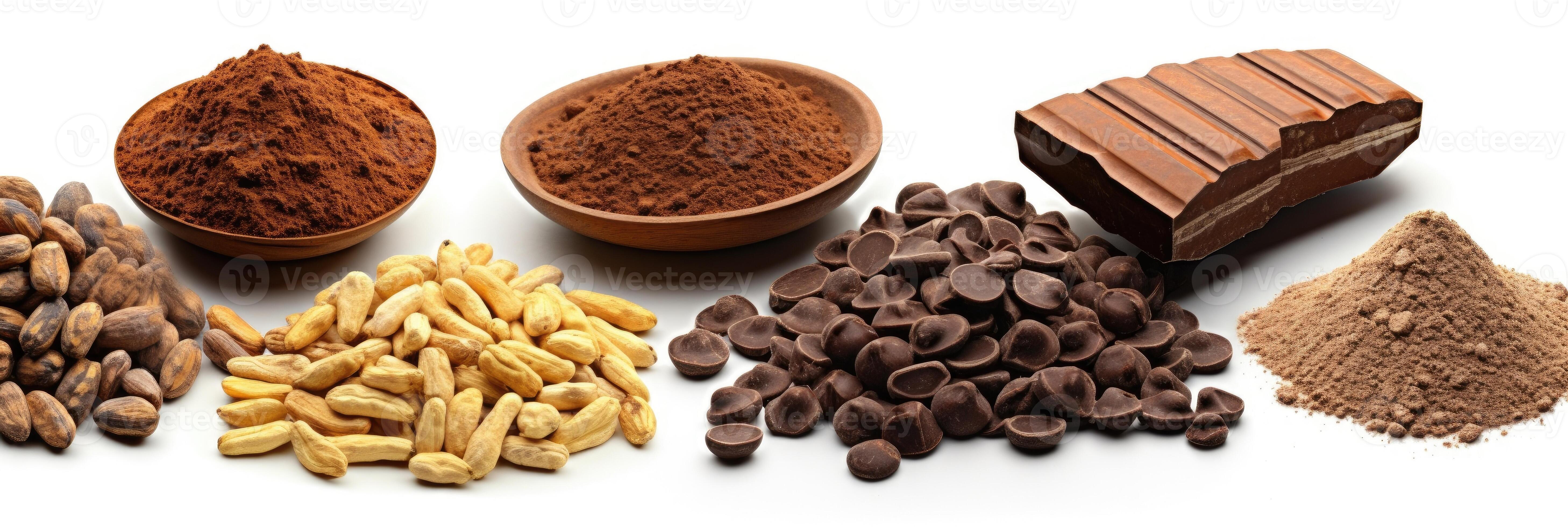 Cocoa ingredients with cocoa beans, fresh cocoa pod and cocoa mass isolated on white background