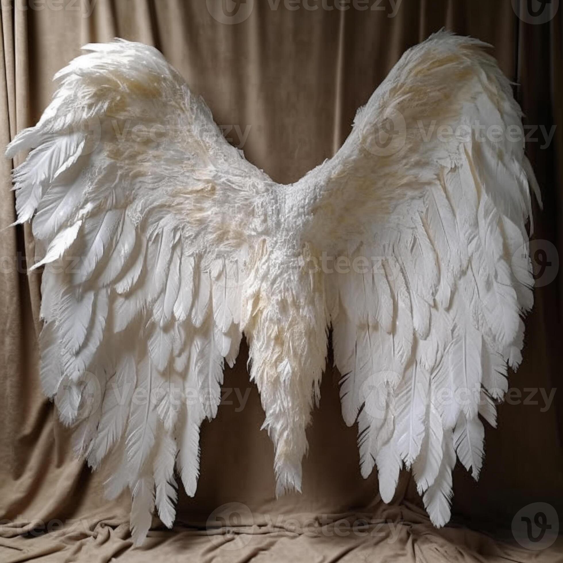 a close up of a white feathered angel wings on a brown background