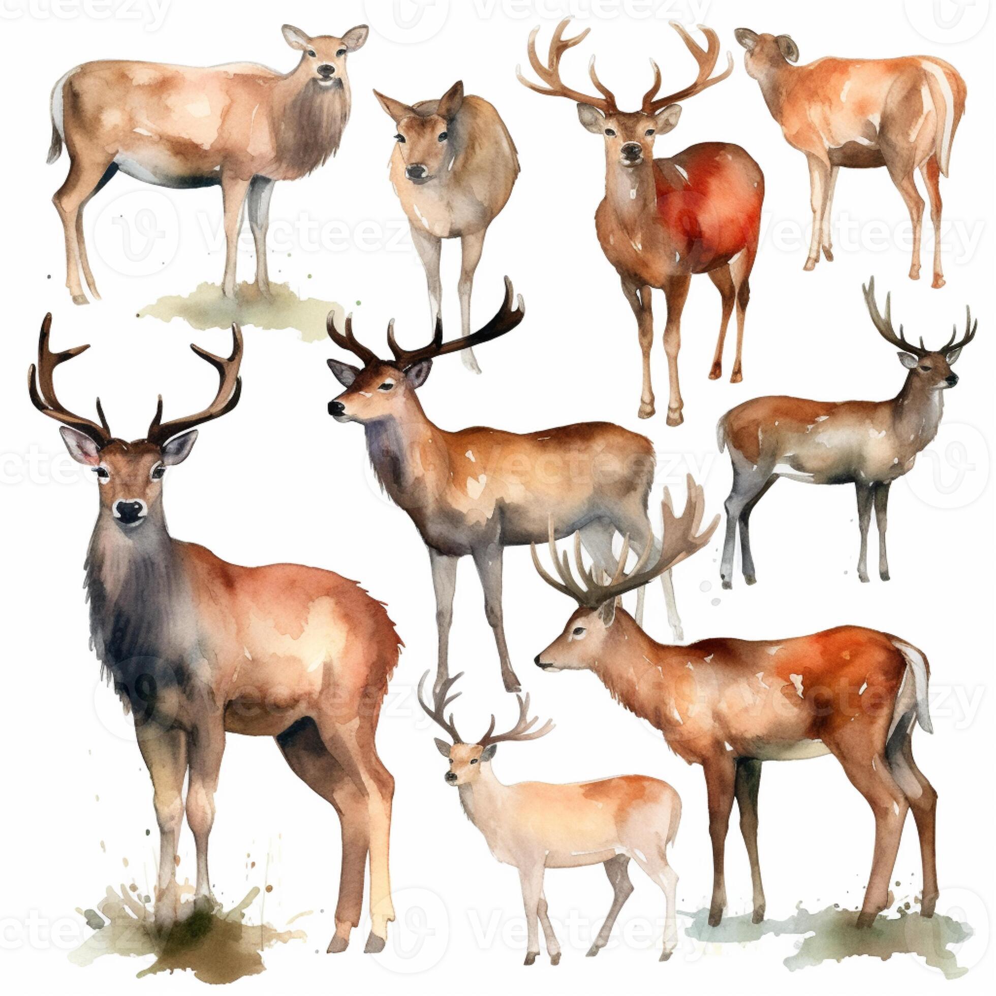 there are many different types of deer standing together. generative ai