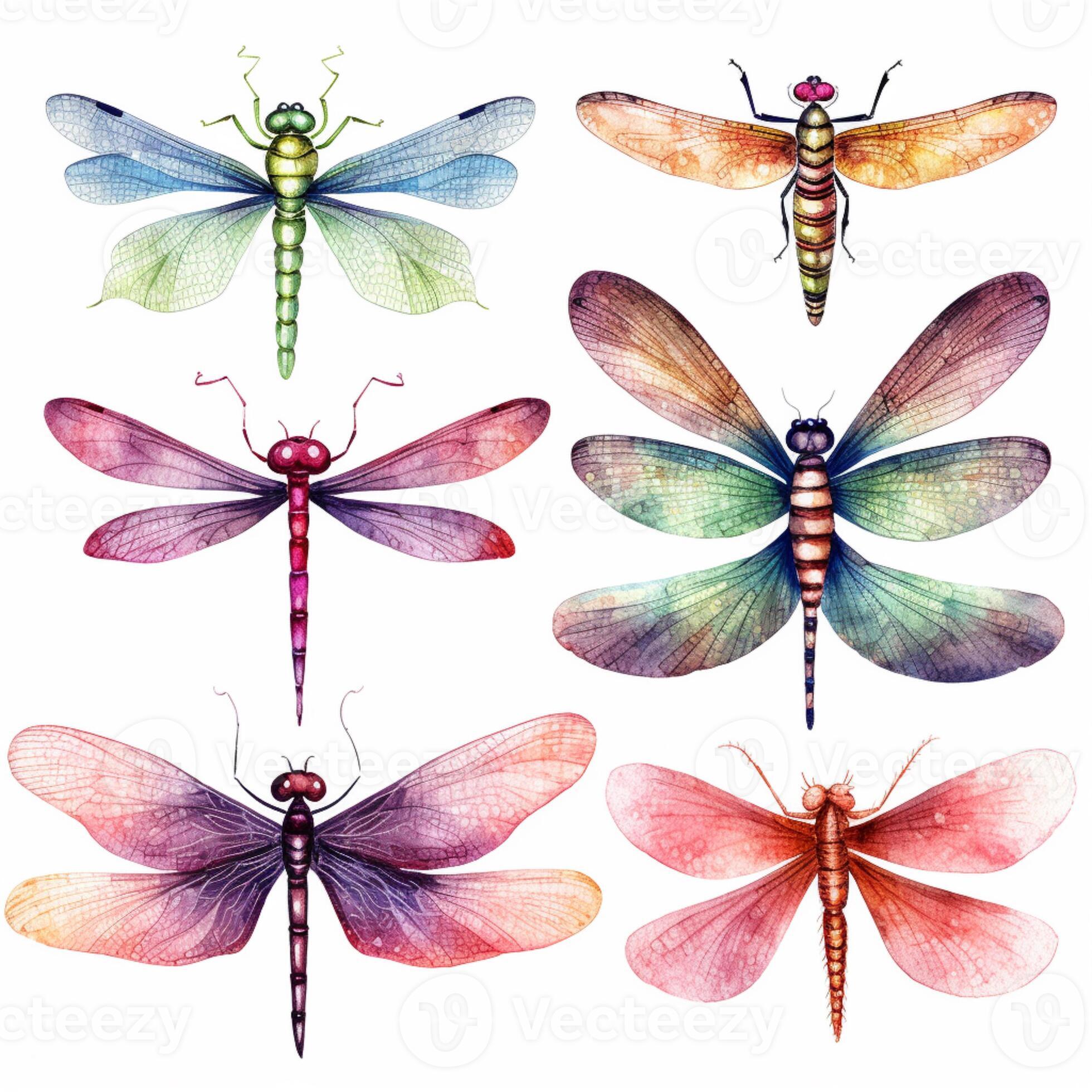 a close up of a group of dragonflies with different colors. generative
