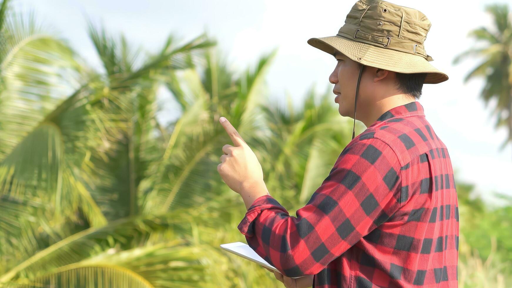 Young Asian farmer using tablet and checking his coconut. Technology for Smart farmer concept. photo