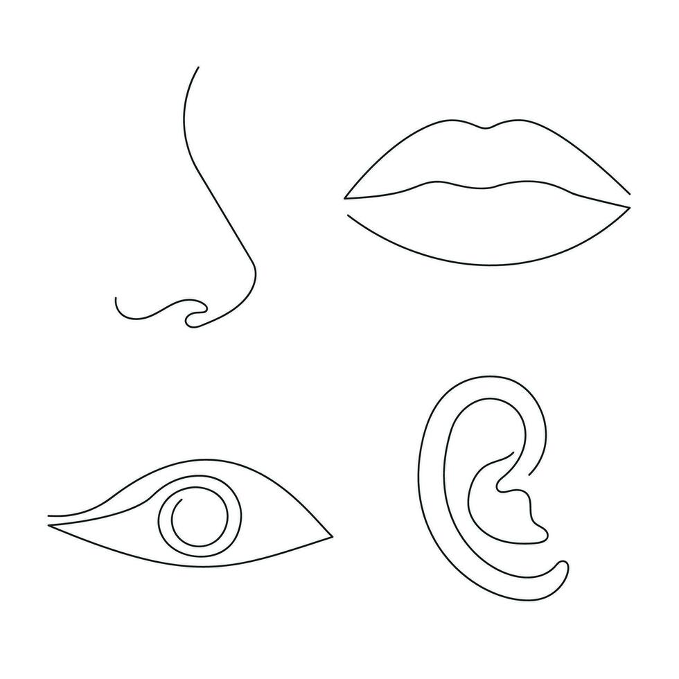 partes de el cara ojo, labios, nariz, oído dibujado en uno continuo línea. uno línea dibujo, minimalismo vector ilustración.